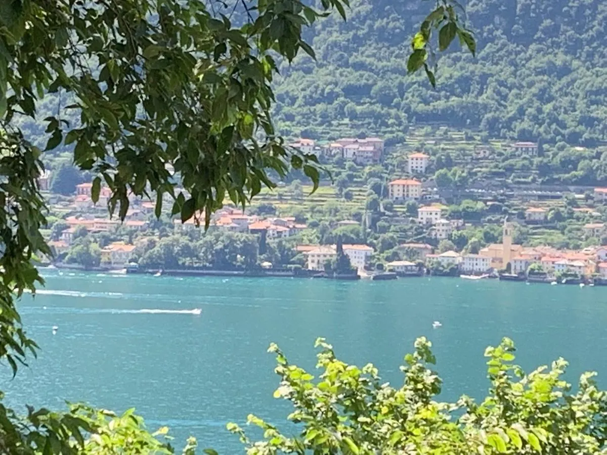 Apartment Casa Dono Il Lago Pognana Lario