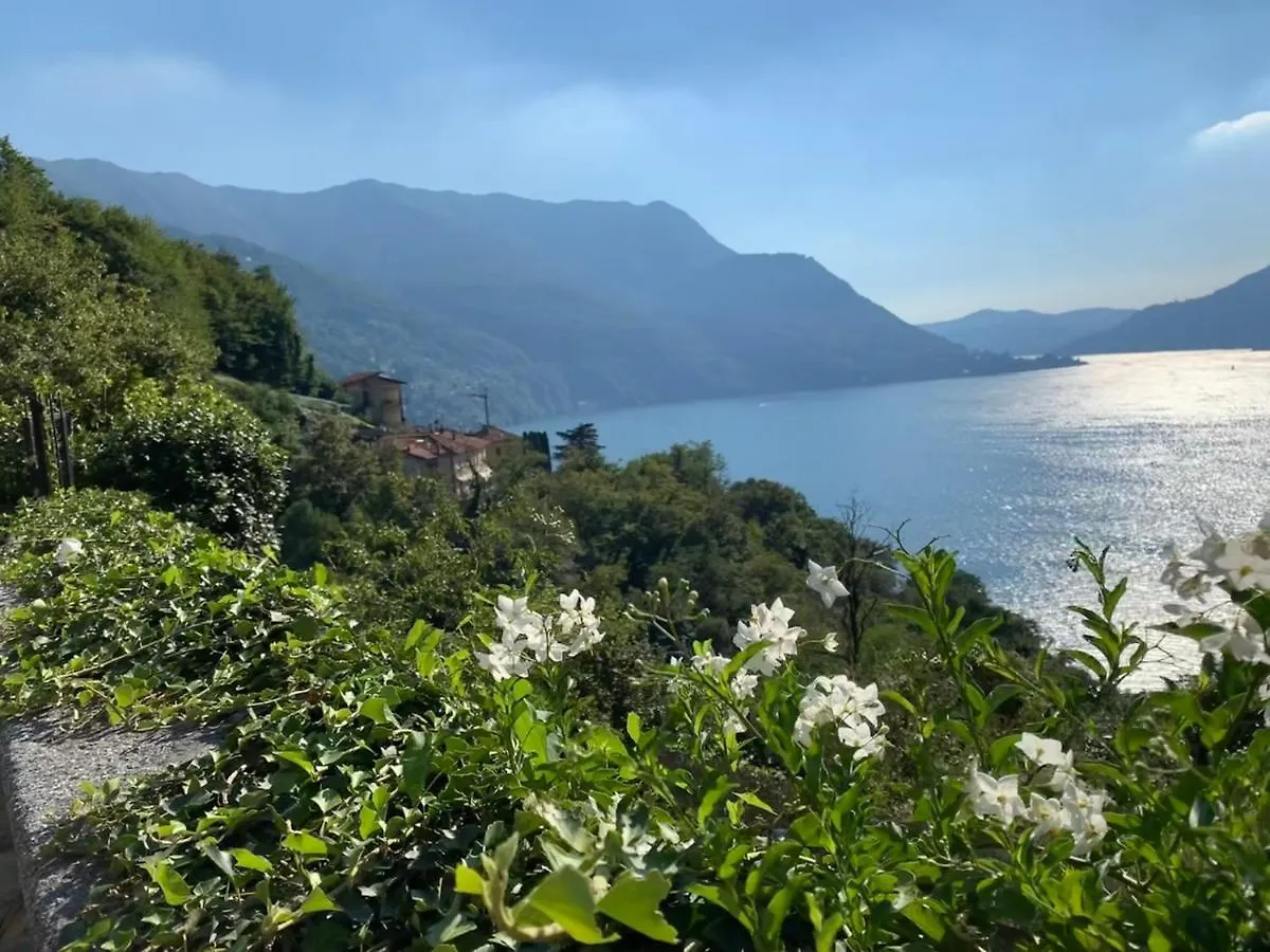 Apartment Casa Dono Il Lago Pognana Lario Italy