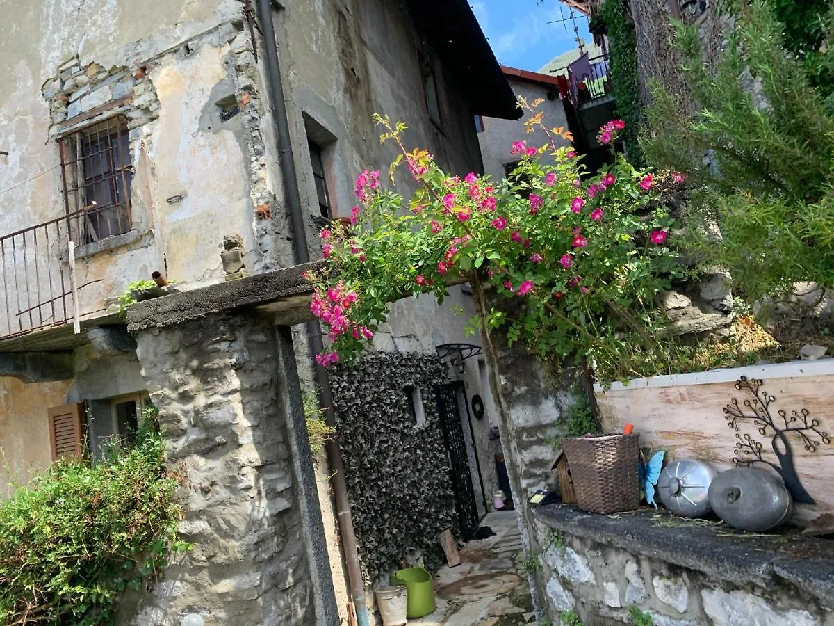 Apartment Casa Dono Il Lago Pognana Lario Italy