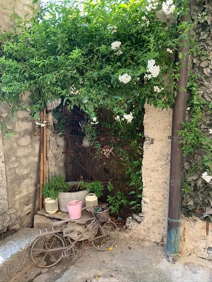 Apartment Casa Dono Il Lago Pognana Lario